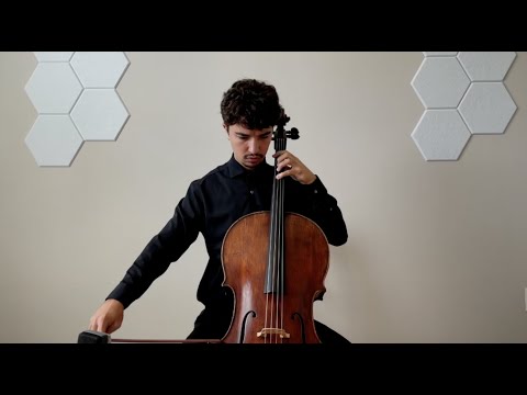 BACH - Cello Suite No. 5 in C Minor (Gabriel Martins)