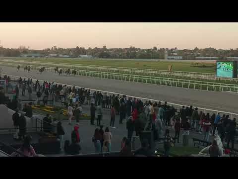 GP Selección (Uru G1) - Dog Bride