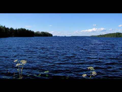 Vesa-Matti Loiri & Samuli Edelmann - Tuomittuna kulkemaan..🎵🎵