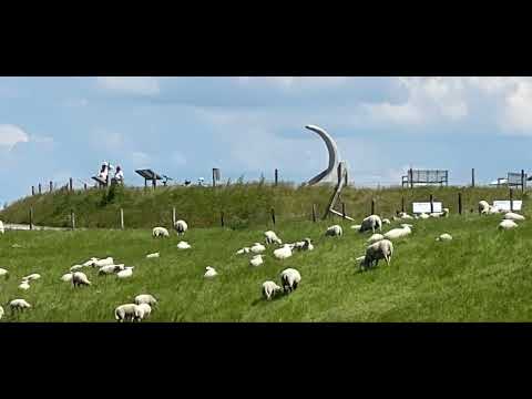 Land & Strand Rundtour ab Jever