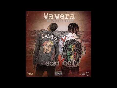 Wawera Gaia x Cali