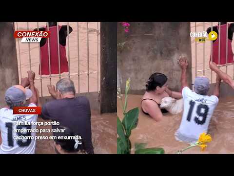 Vídeo: Família força portão emperrado para salvar cachorro preso em enxurrada.