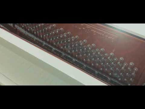 Piano Feurich Mod. 115 - Premiere | WoodAndMusic