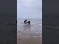 Shreya Sharan Hot Bikini On Beach Shreya