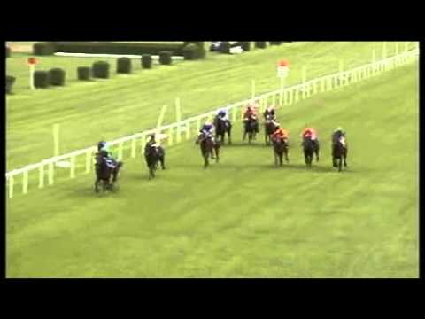 25. Prípravná cena - Alfkona