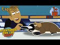 Los Ornitorrincos Son Extraños Episodios Completos Aventuras Con Los Kratt
