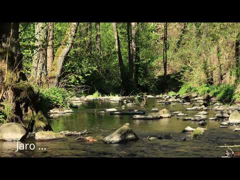 České středohoří - Bobří soutěska