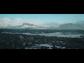 Danymuse - Птицы