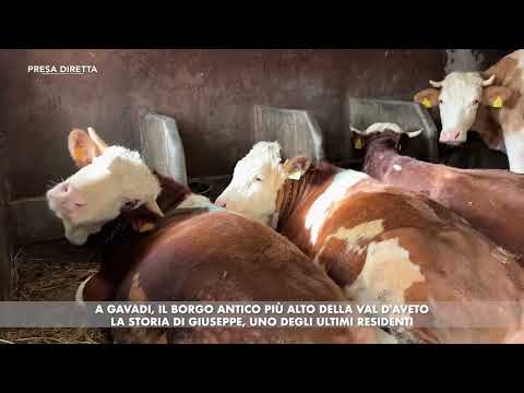 PRESA DIRETTA A GAVADI, IL BORGO ANTICO PIÙ ALTO DELLA VAL D'AVETO