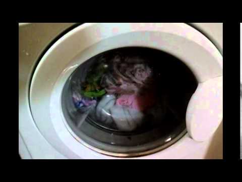 Indesit WIL 105 wash bright colors
