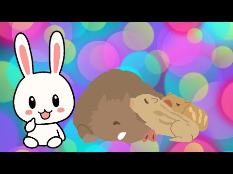 イノシシは何を食べるの?