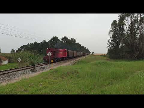 Comboio Especial n.º 91205/4 - Muge