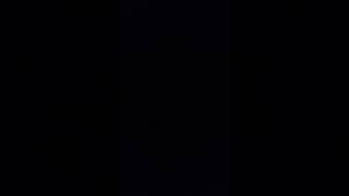 Curren$y Defenseless Freestyle by Tranquhility