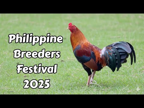 PBF 2025 | Martin Escolin