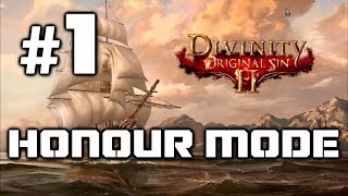 Divinity Original Sin 2 - Honour Walkthrough: Troubled Waters, Reach Level 2 from Start - Part 1