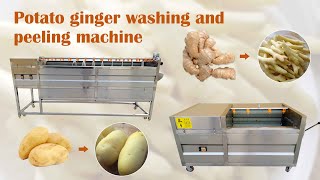 Brush Potato Ginger Washing And Peeling Machine youtube video