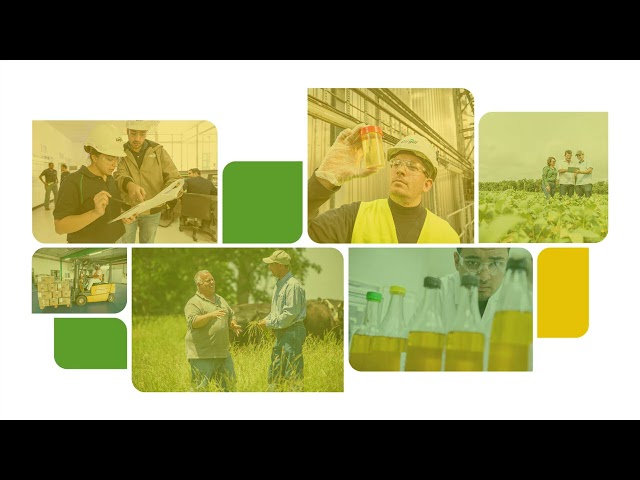 imagen-video-thefoodtech