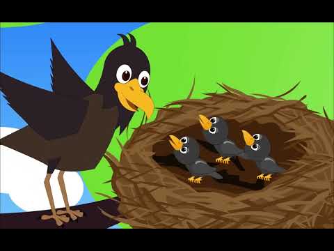 Kakke Kakke Koodevide song for kids