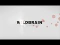 WildBrain Logo 2007 2016