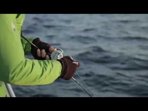 取材動画サムネイル 13