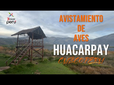 Caminata Andina a Killarumiyoq – Experiencia ½ Día