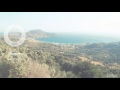 Whiskey Priest - Here
