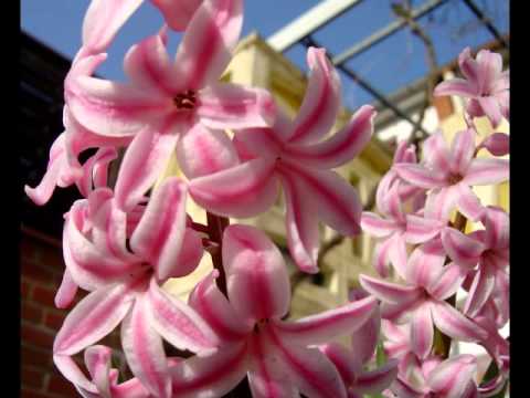 Bibel 2. Korinther 1 NGÜ