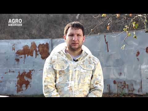 Agricultura Performantă în Moldova – Lecția nr.9, Apicultura