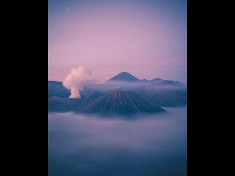 Salmo 91 - Sotto le ali divine.