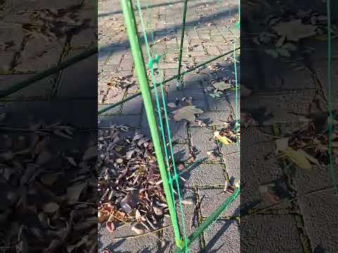 Опора для огурцов 180см х 180см шпалера для огурцов с сеткой для гороха и фасоли - фото 1 - id-p2824084980