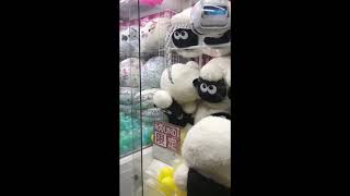 【UFOキャッチャー】ディスプレイ？知らんな。
