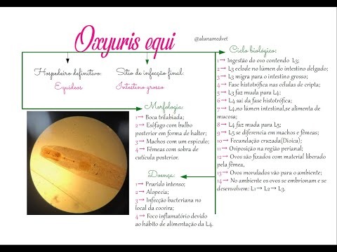 Treatment of oxyuris in pregnancy