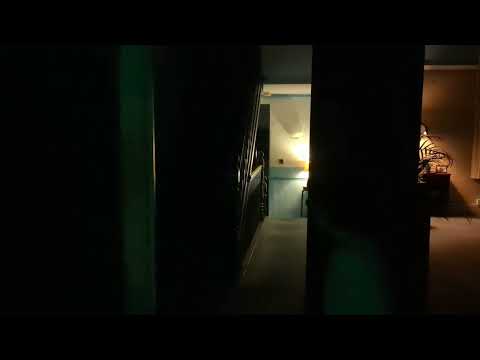 Especial de Halloween 🎃👻🎃 Mansão de Luigi pt II