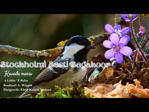 Stockholmi Eesti Segakoor - Kevade marss