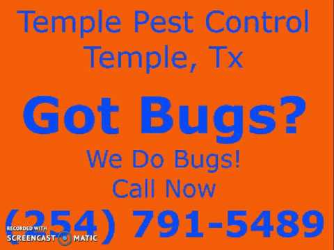 Exterminators In Temple Texas