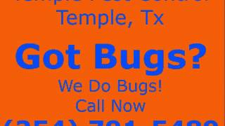 Need Pest Control / Management Service Temple Tx