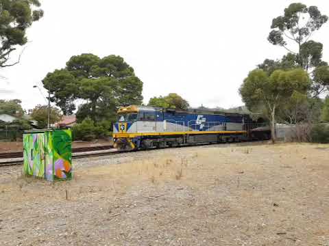 5MP9 CF4403/SCT007/CF4410/SCT004 84w Mitcham, SA 11:04 24/1/20