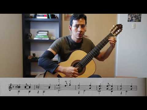 Hapfauf - Hans Newsidler (16th Century)