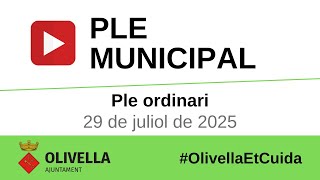 Ple ordinari del 29 de juliol de 2025