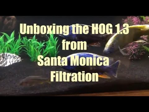 HOG1.3 unboxing and getting ready to go on a sump in a freshwater tank