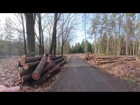 Běh na pytlácké stezce....s Tomem v laufu