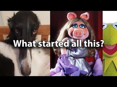 Didn't I do it for you | Story Explained