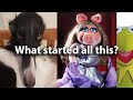 Didn T I Do It For You Story Explained