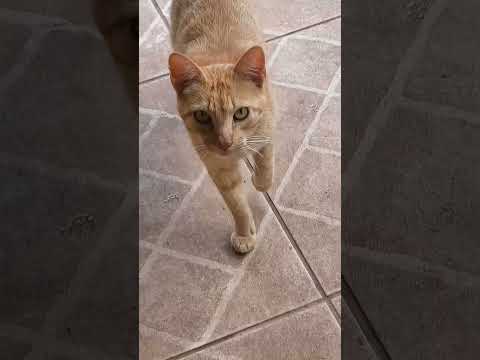 Santana do Garambéu ❤️💕