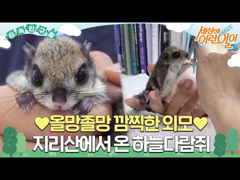 아이콘