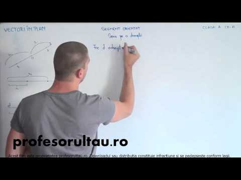 34   Vectori in plan   segment orientat   sens pe o dreapta - profesorultau.ro
