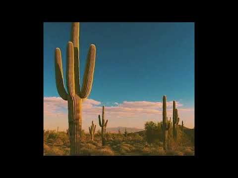 TRAVIS SCOTT + MURDA BEATZ + CUBEATZ TYPE BEAT - "MARIACHI" (PROD.ORENSWRLDD)