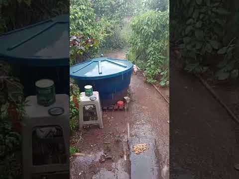 Ipupiara Bahia está chovendo muito