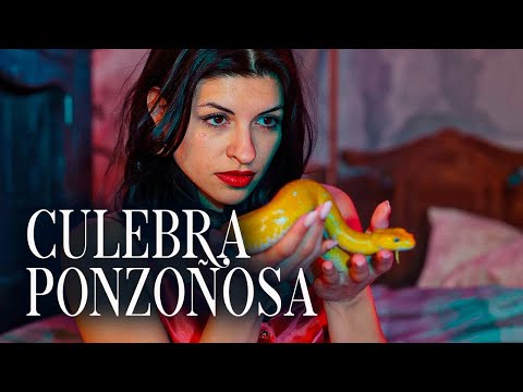 Cazzu - Venomous Snake