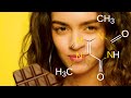 The Science of Chocolate - Cacao, Theobromine, & Cocoa Butter